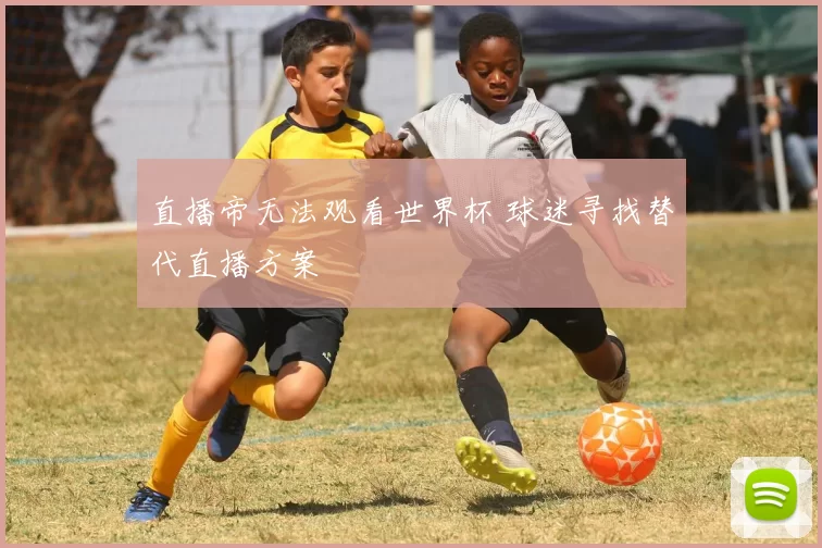 直播帝无法观看世界杯 球迷寻找替代直播方案