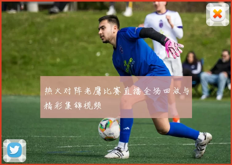 热火对阵老鹰比赛直播全场回放与精彩集锦视频