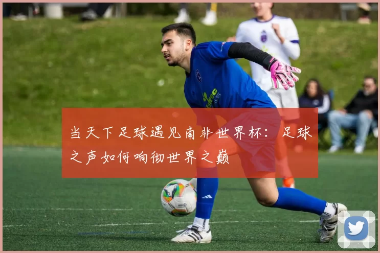 当天下足球遇见南非世界杯：足球之声如何响彻世界之巅