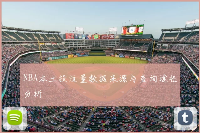 NBA本土投注量数据来源与查询途径分析
