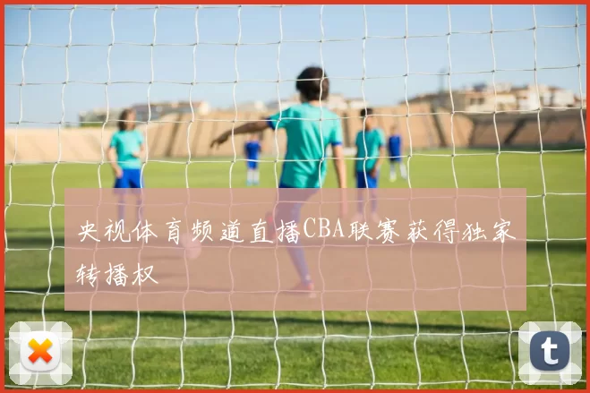 央视体育频道直播CBA联赛获得独家转播权