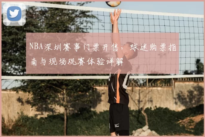 NBA深圳赛事门票开售,球迷购票指南与现场观赛体验详解