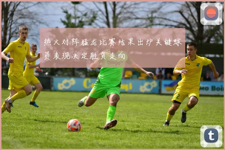 热火对阵猛龙比赛结果出炉关键球员表现决定胜负走向