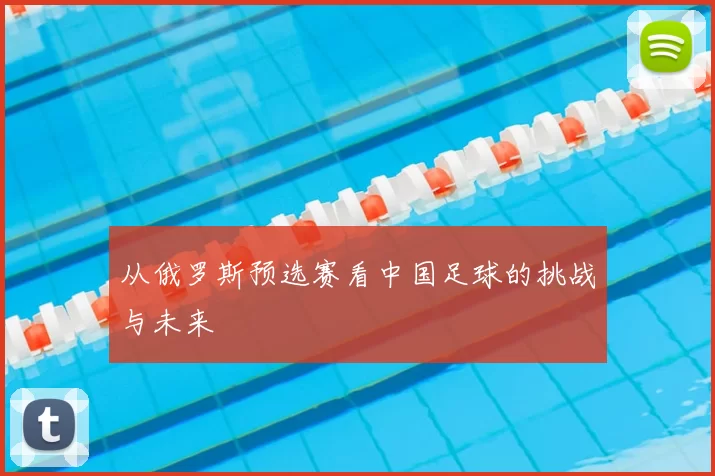 从俄罗斯预选赛看中国足球的挑战与未来
