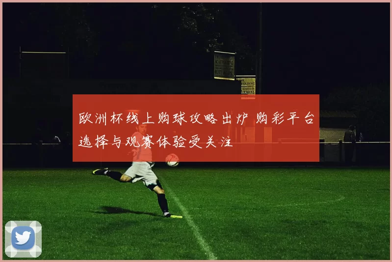 欧洲杯线上购球攻略出炉 购彩平台选择与观赛体验受关注