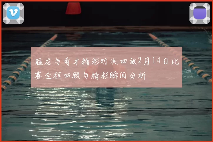 猛龙与奇才精彩对决回放2月14日比赛全程回顾与精彩瞬间分析