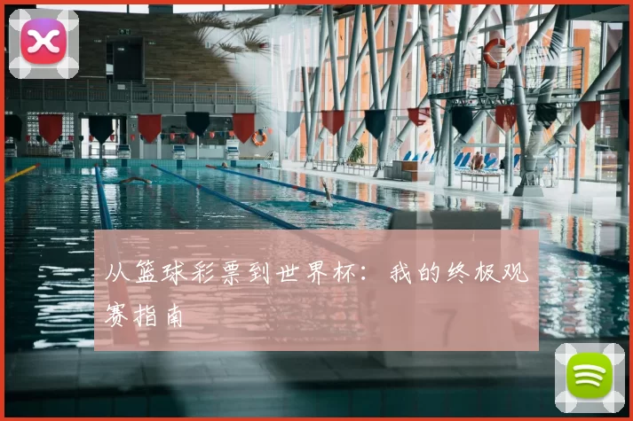 从篮球彩票到世界杯：我的终极观赛指南